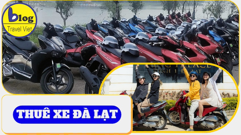 Top 8 địa chỉ cho thuê xe máy giá rẻ và uy tín nhất tại Đà Lạt
