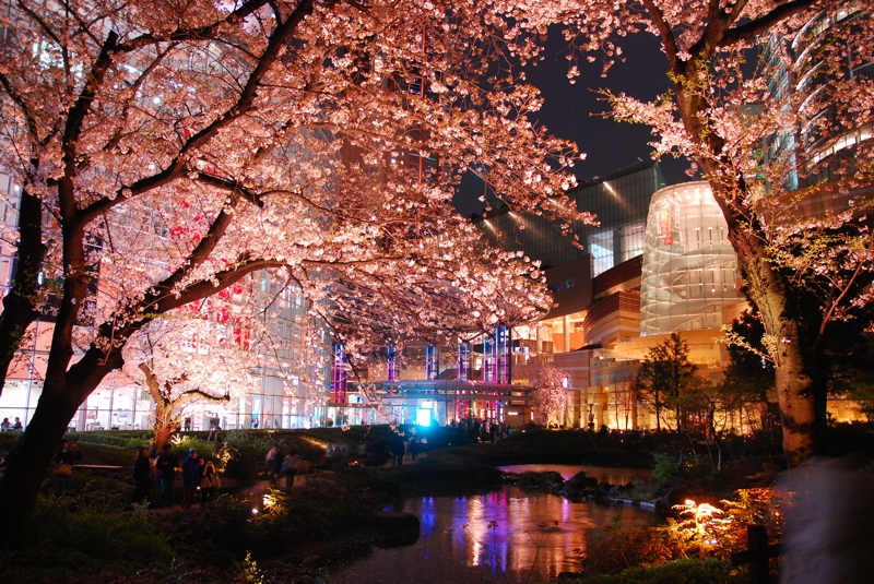 Đêm xuống, hãy đến đâu? Bar Roppongi đang chờ bạn.