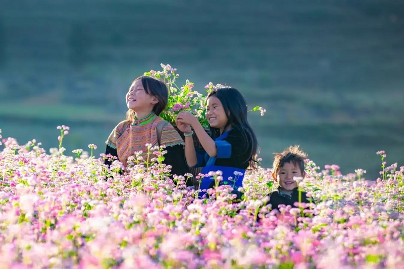 12 địa điểm du lịch miền Bắc đẹp nhất tháng 11