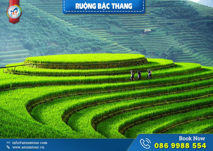 Cập Nhật Kinh Nghiệm Du Lịch Mù Cang Chải