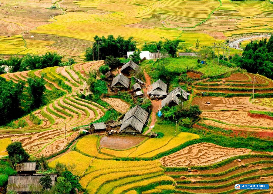 Khám phá Tả Van – Vẻ đẹp tự nhiên và văn hóa độc đáo tại Sapa