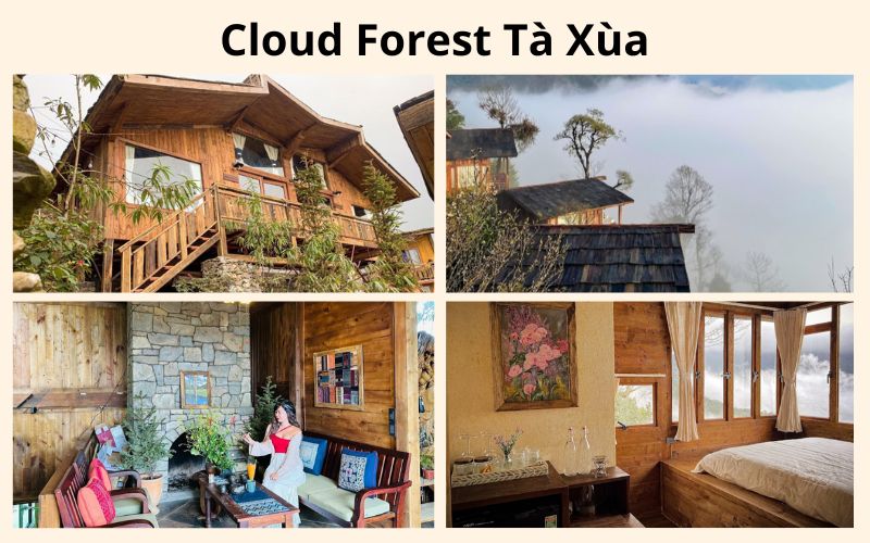 Tổng hợp 12 homestay Tà Xùa có góc nhìn đẹp, lý tưởng để săn mây.