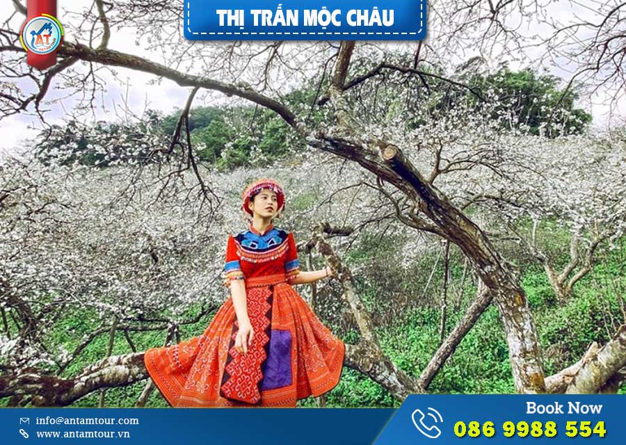 Thị trấn Mộc Châu