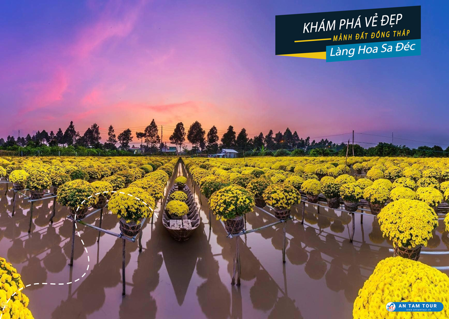 Khám Phá Sự Đẹp Của Làng Hoa Sa Đéc