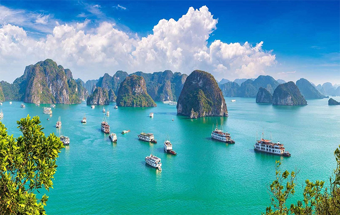 Đề xuất Lịch trình du lịch Hạ Long 1 ngày, 2 ngày, 3 ngày Chi tiết – Kavo Travel