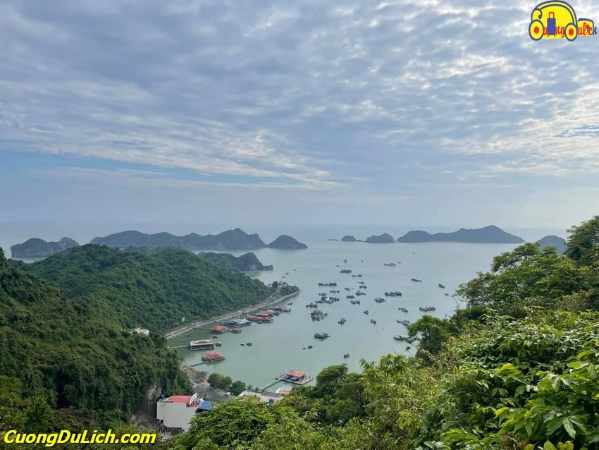 Hướng Dẫn Du Lịch Cát Bà và Vịnh Lan Hạ Tiết Kiệm Chi Phí 2023 cùng Người Địa Phương