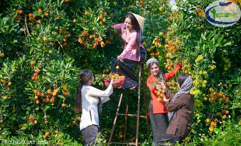 Kinh nghiệm du lịch Miền Tây an toàn