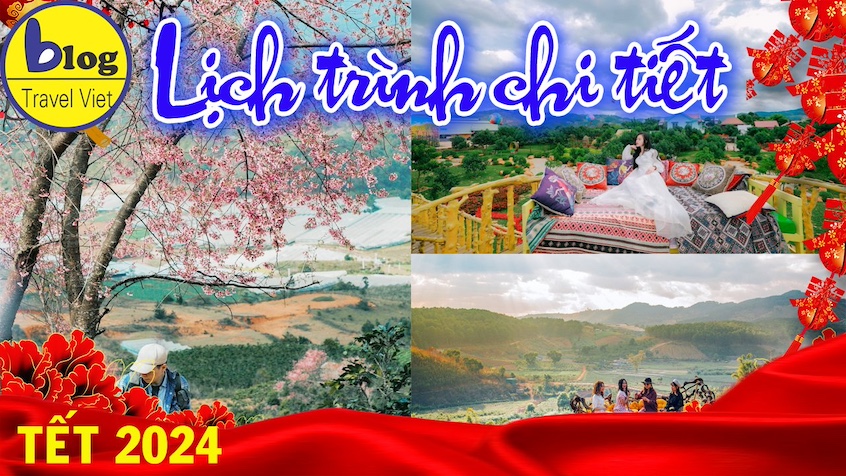 Du lịch Đà Lạt trong dịp Tết 2025: Kinh nghiệm lập kế hoạch cho chuyến đi 3 ngày 2 đêm